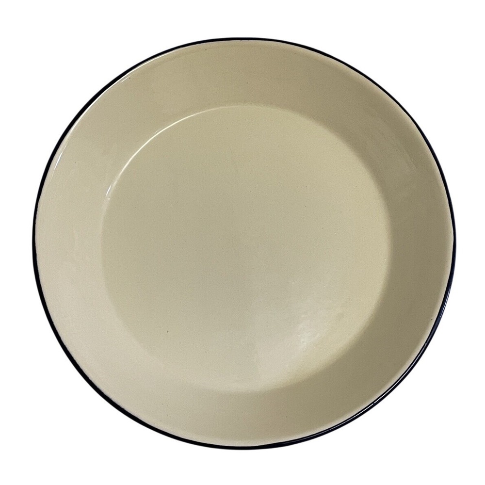Rustic 12" Pottery Bowl For Tierra Tinta Aguascalientes, Mexico Blue Rim